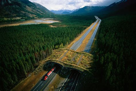 哪些地方有天橋